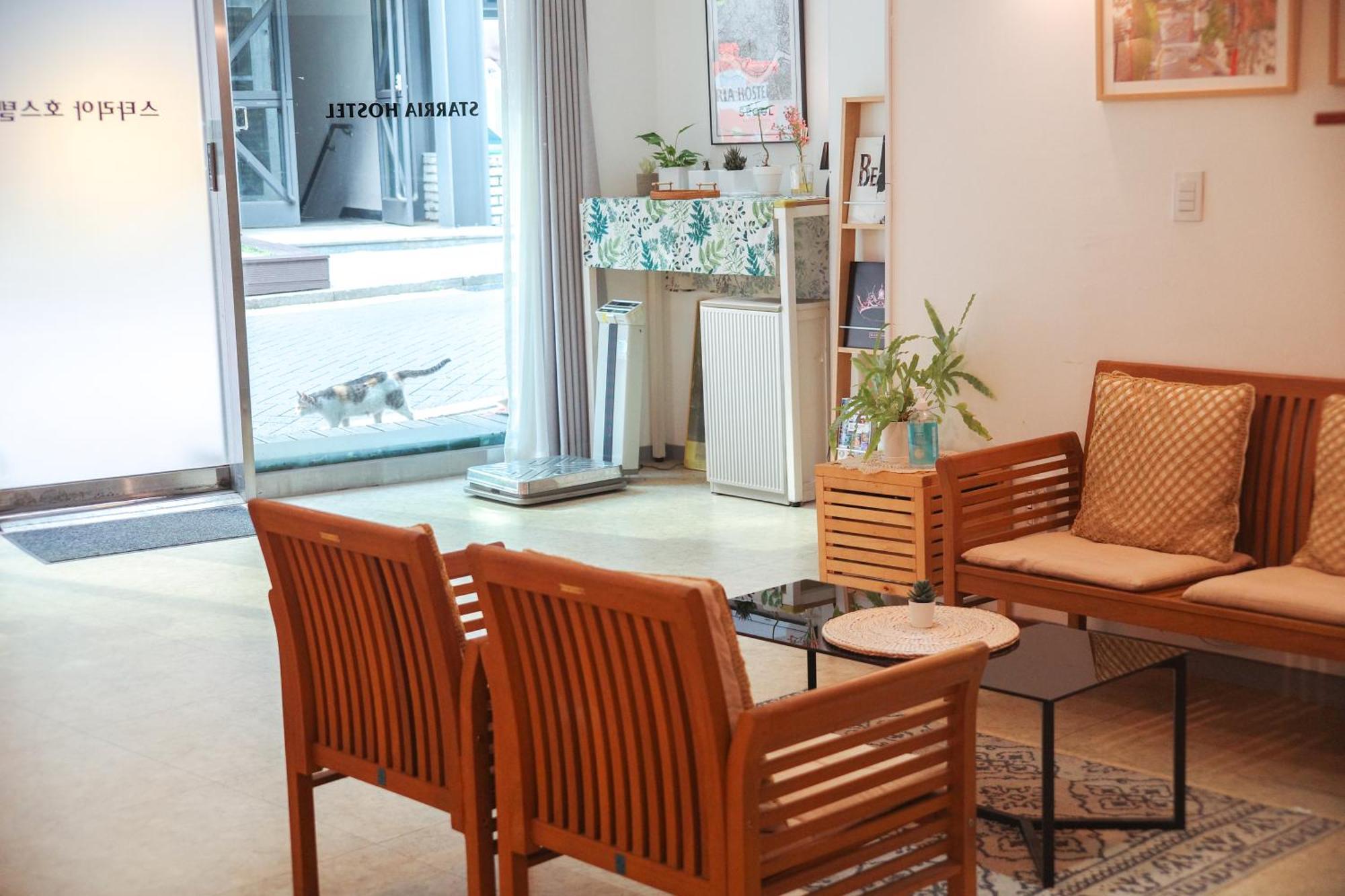 Starria Hostel Foreign Guest Only Seoul Exterior photo