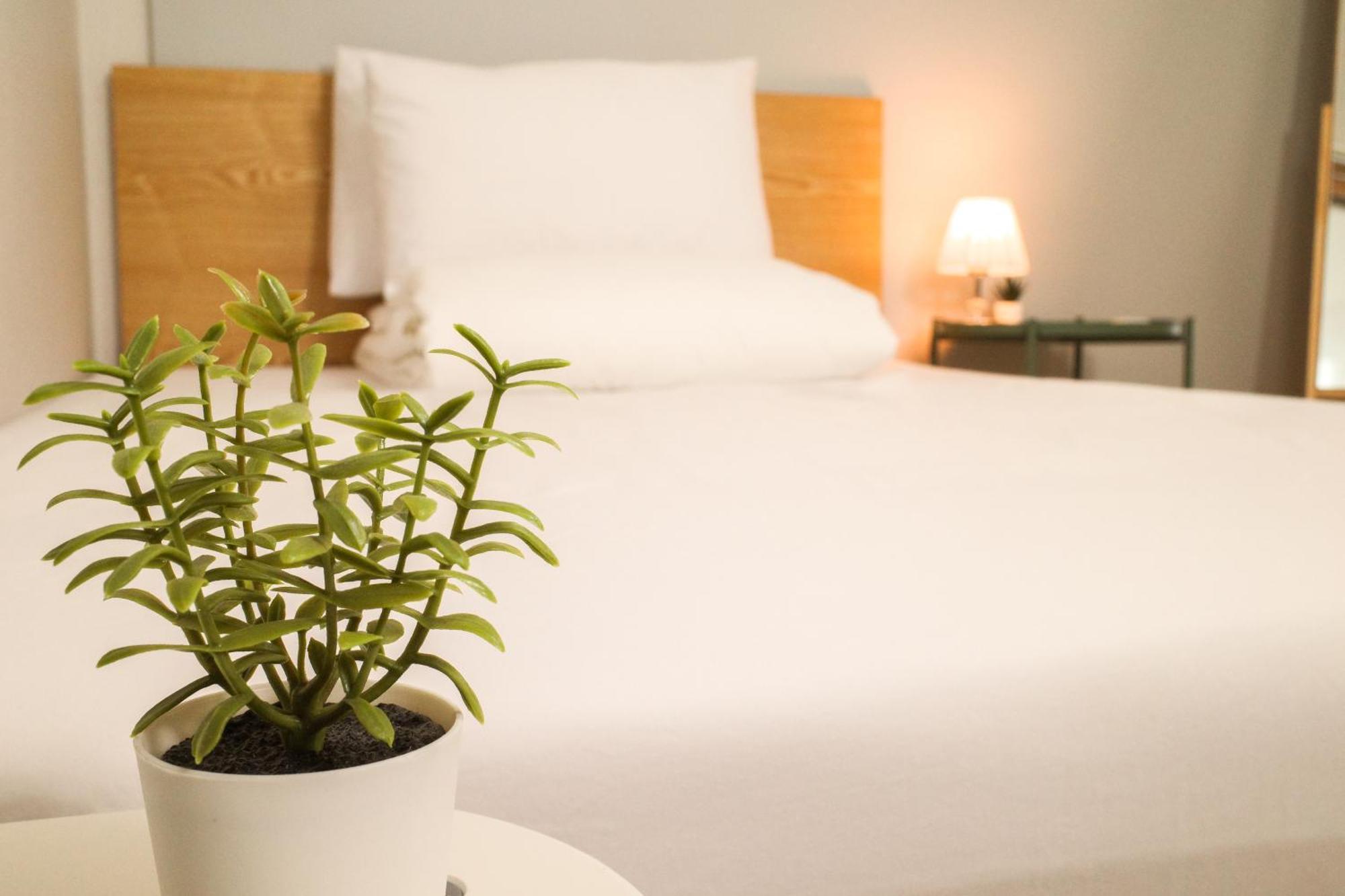 Starria Hostel Foreign Guest Only Seoul Room photo