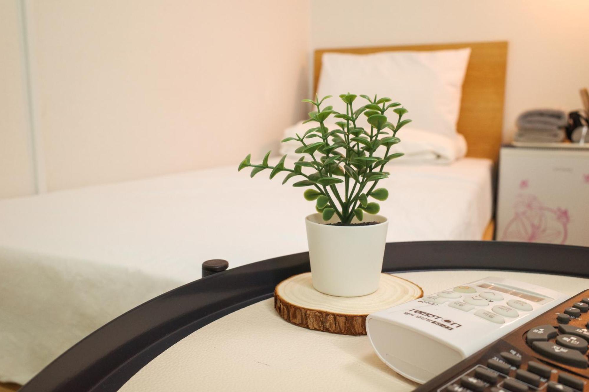 Starria Hostel Foreign Guest Only Seoul Room photo